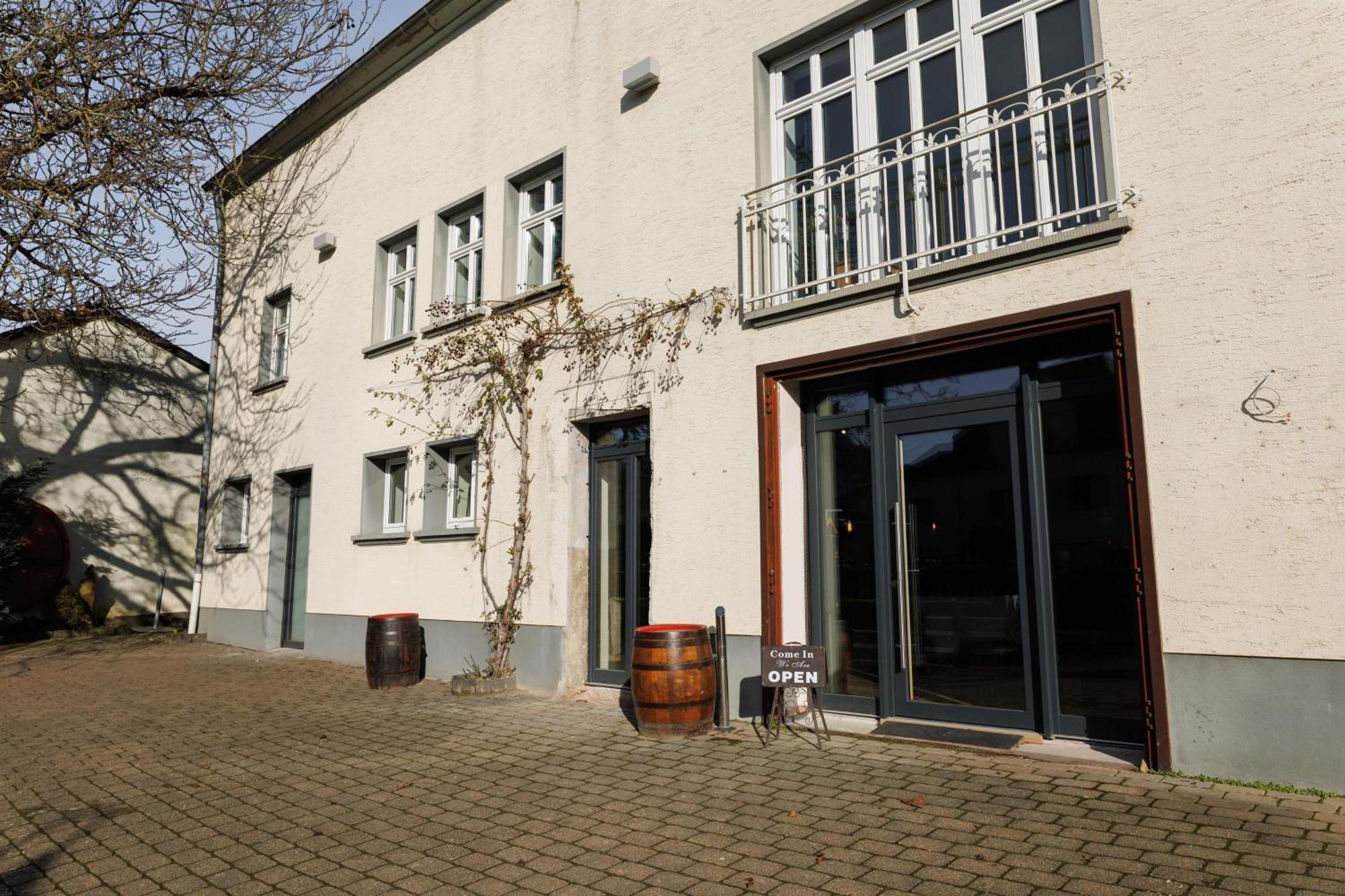 Appartements Im Weingut Frieden-Berg Nittel Kültér fotó