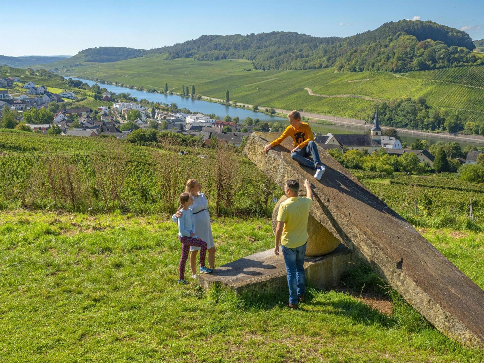 Appartements Im Weingut Frieden-Berg Nittel Kültér fotó